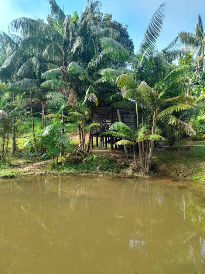 Cabanas Dechi Puerto Nariño Buitenkant foto