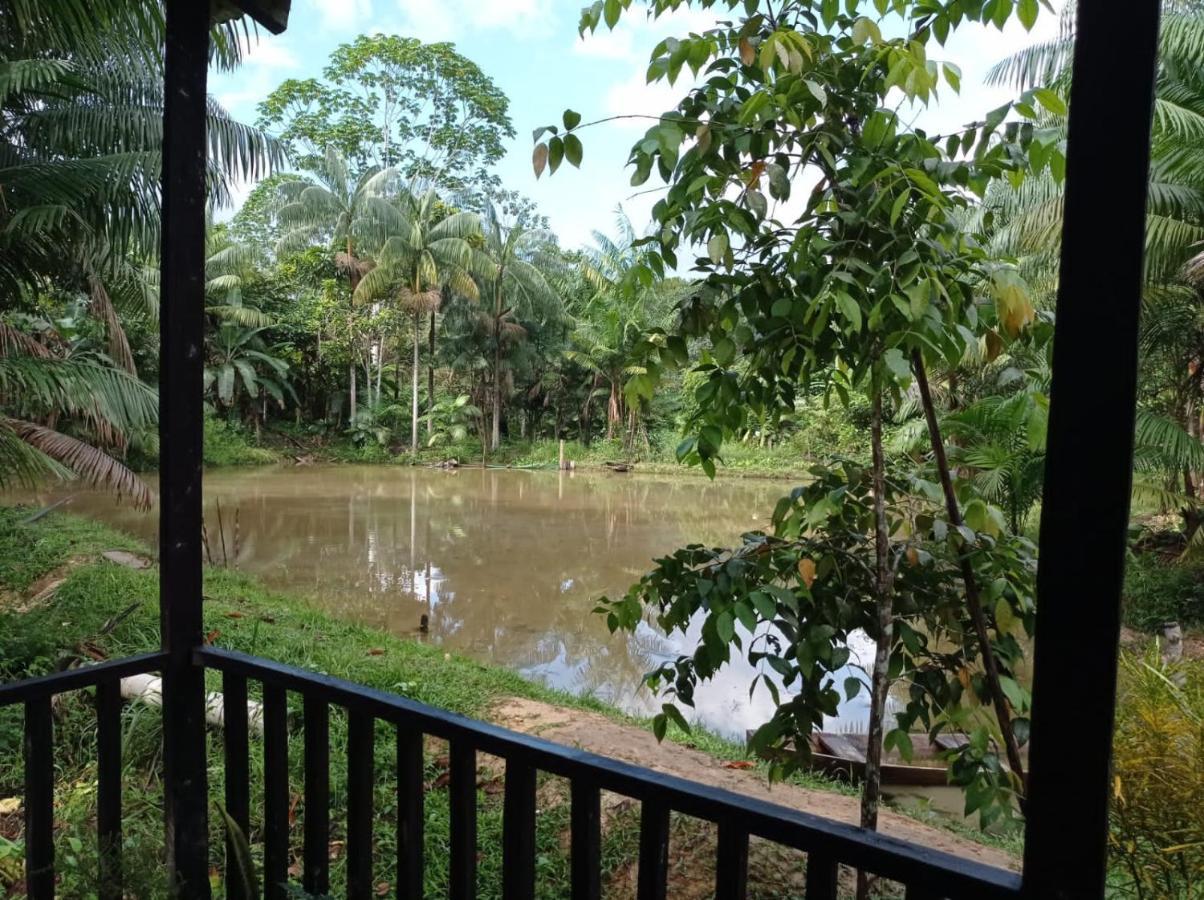 Cabanas Dechi Puerto Nariño Buitenkant foto